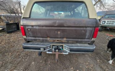 89-ford-bronco-full-size-1989-brown-13
