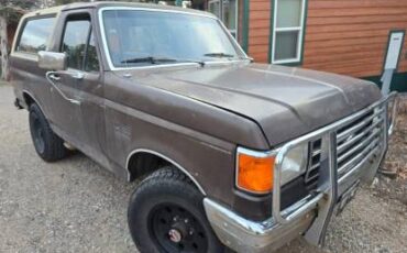 89-ford-bronco-full-size-1989-brown-5