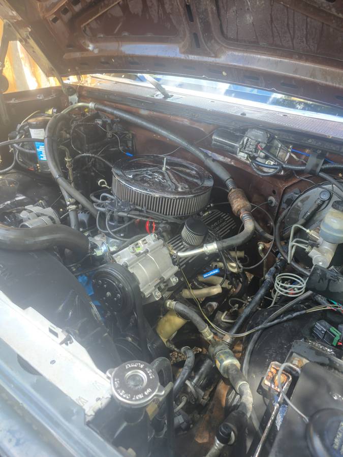 89-ford-bronco-full-size-1989-brown-6