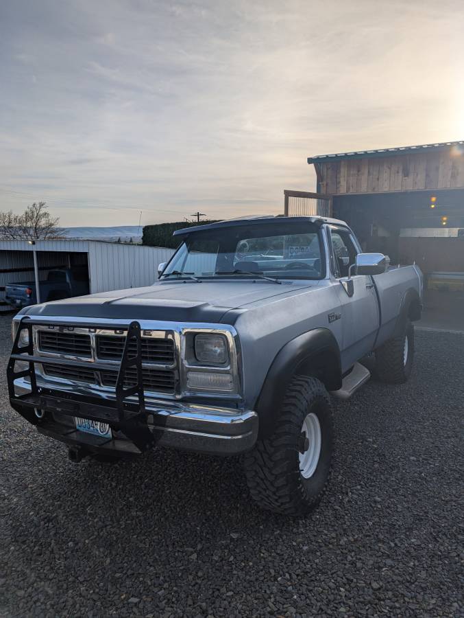 91-dodge-w-150-1991-grey