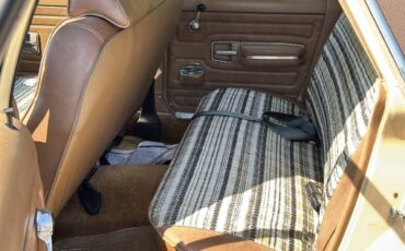 AMC-Hornet-1977-Sedan-10