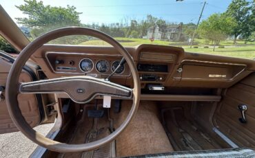 AMC-Hornet-1977-Sedan-16