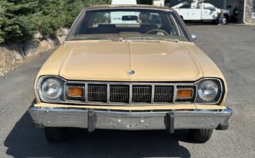 AMC-Hornet-1977-Sedan-2