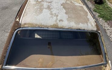 AMC-Hornet-1977-Sedan-7