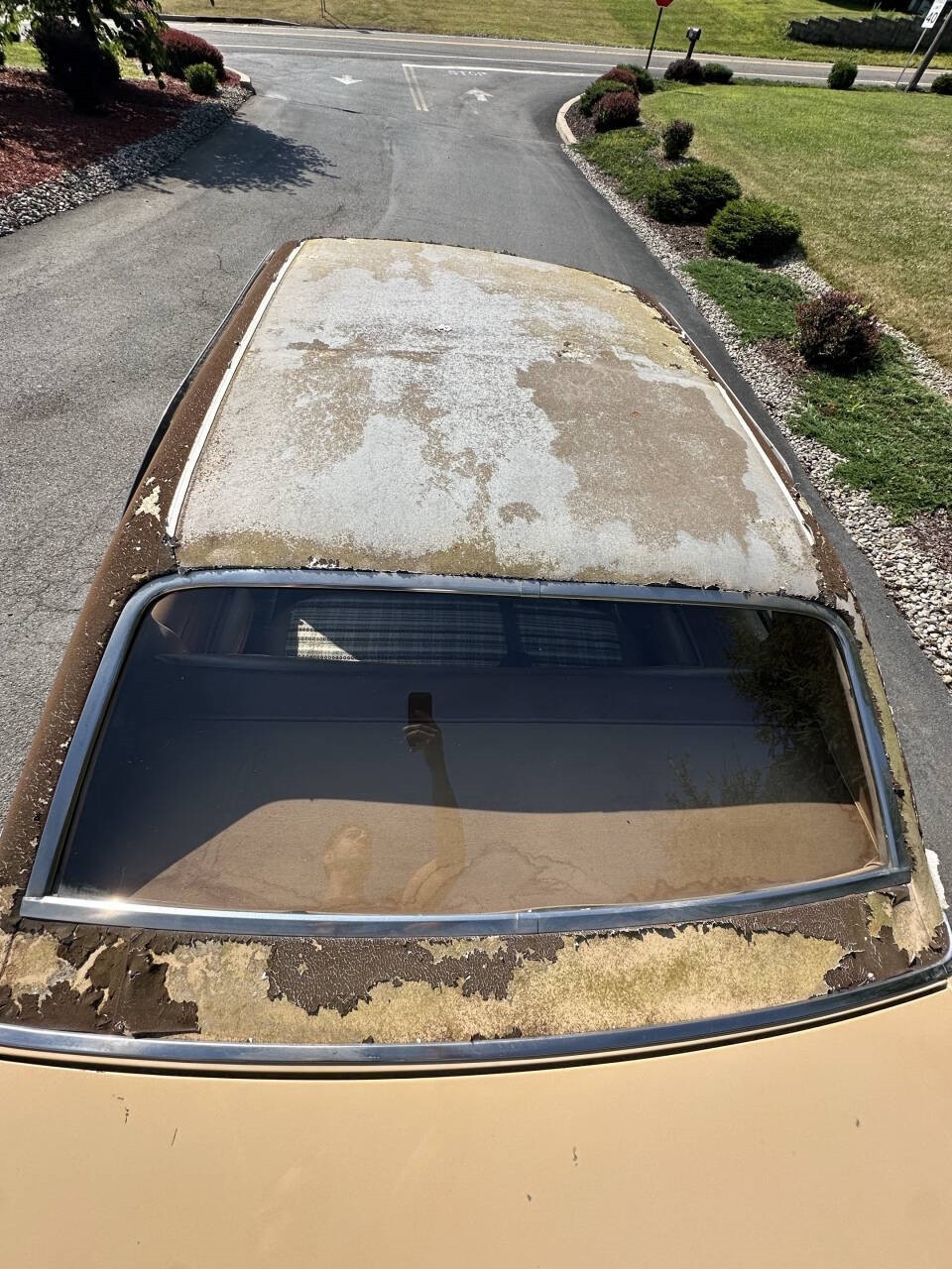 AMC-Hornet-1977-Sedan-7