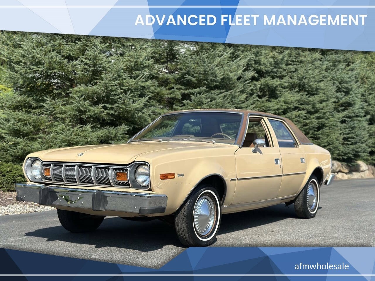 AMC-Hornet-1977-Sedan