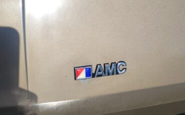 AMC-Pacer-1978-Wagon-9