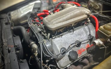 Alfa-Romeo-GTV-1981-18