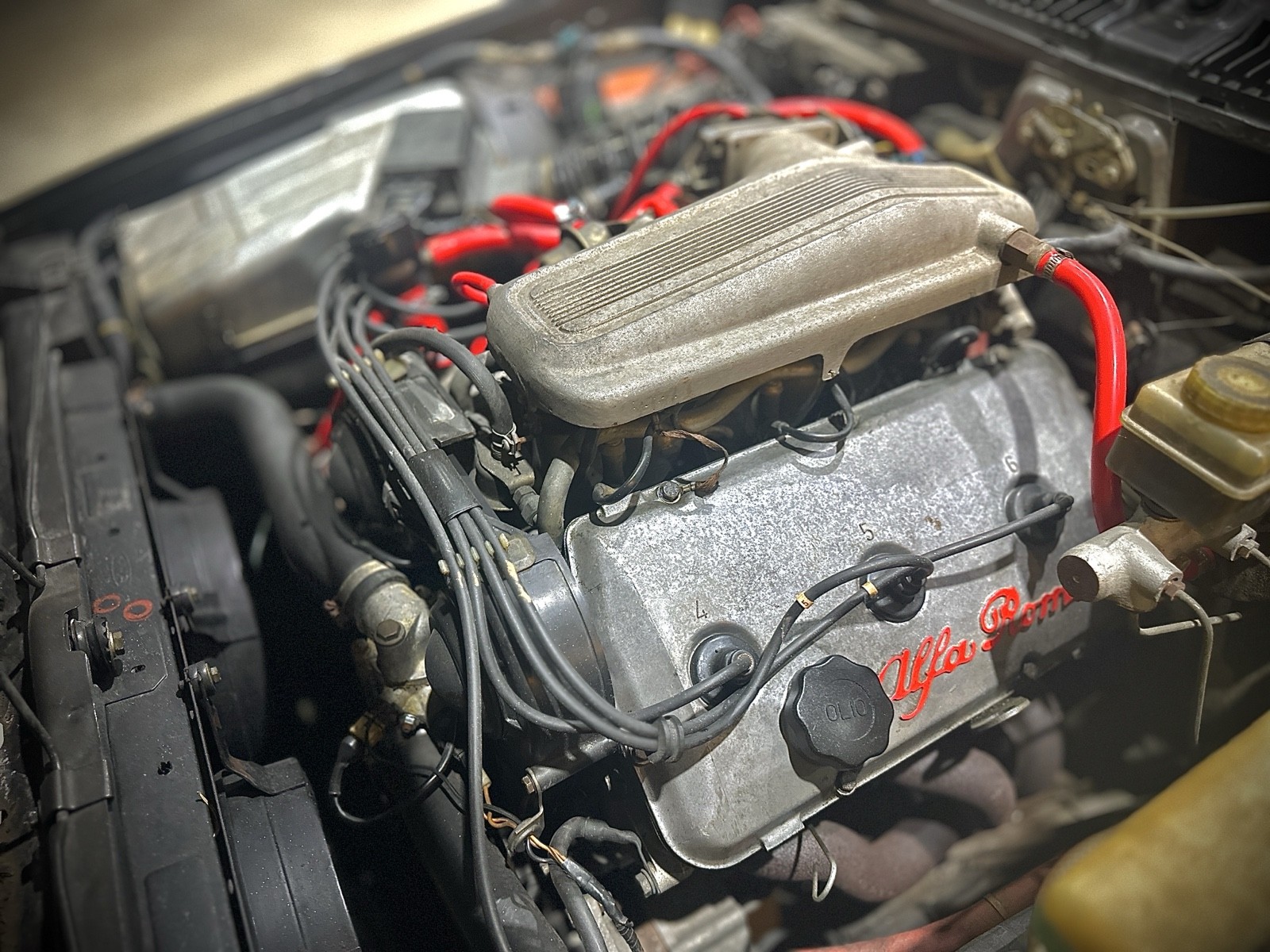 Alfa-Romeo-GTV-1981-18