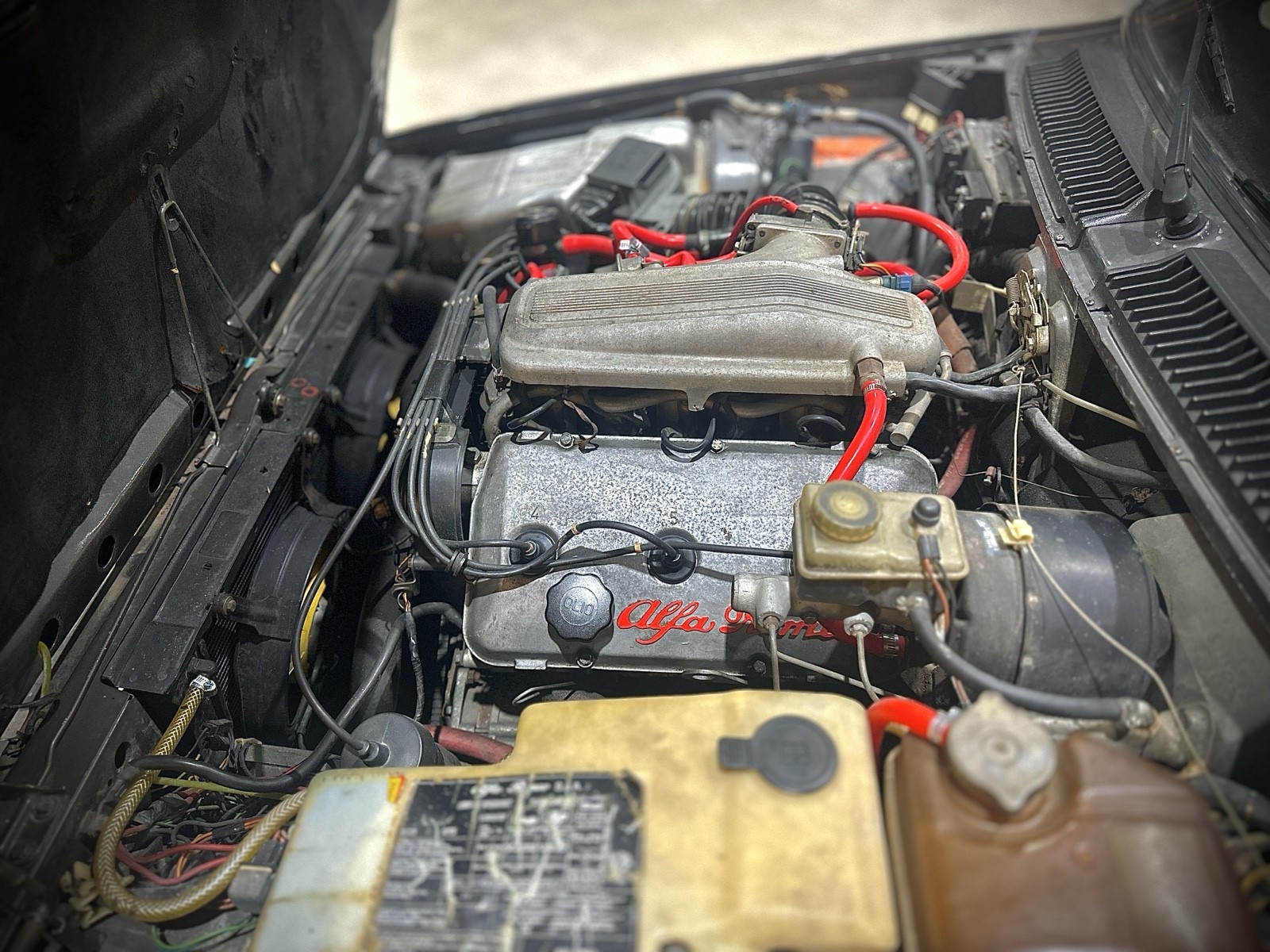 Alfa-Romeo-GTV-1981-19