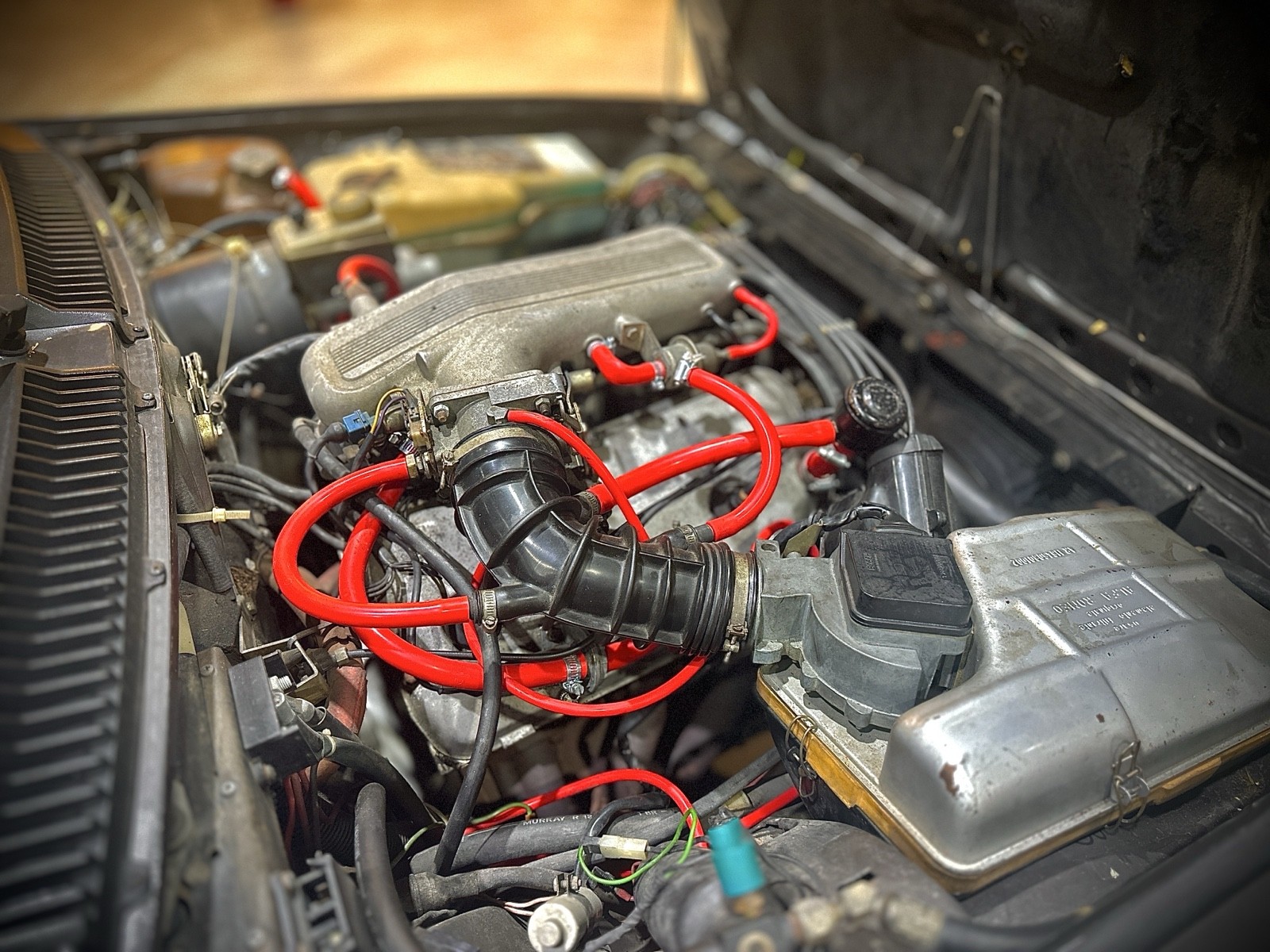 Alfa-Romeo-GTV-1981-20