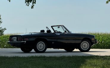 Alfa-Romeo-Spider-1976-Convertible-16