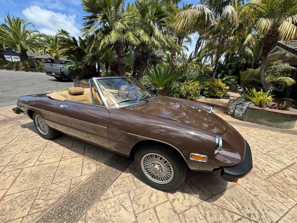Alfa-Romeo-Spider-1979-Convertible-1