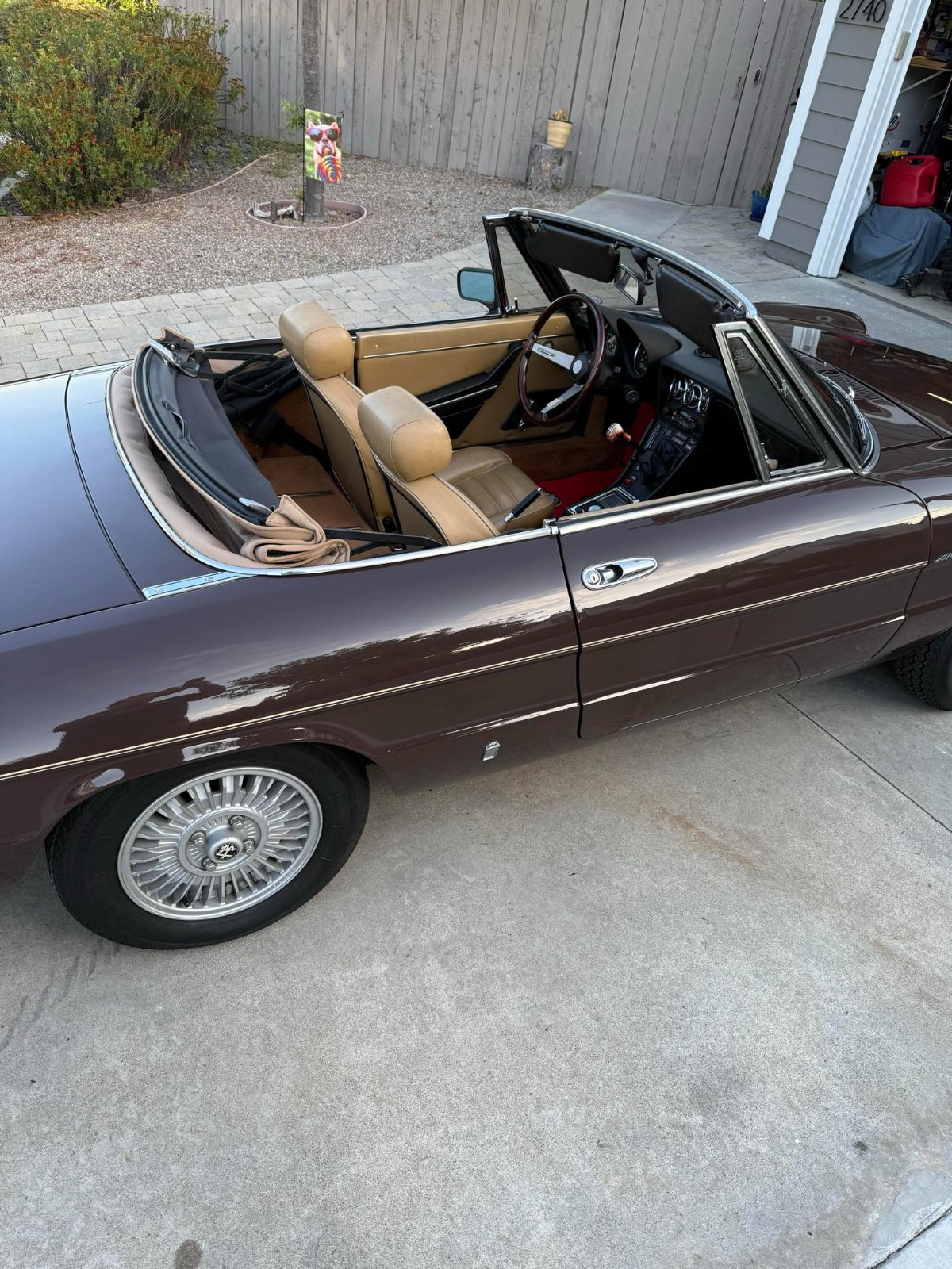 Alfa-Romeo-Spider-1979-Convertible-10