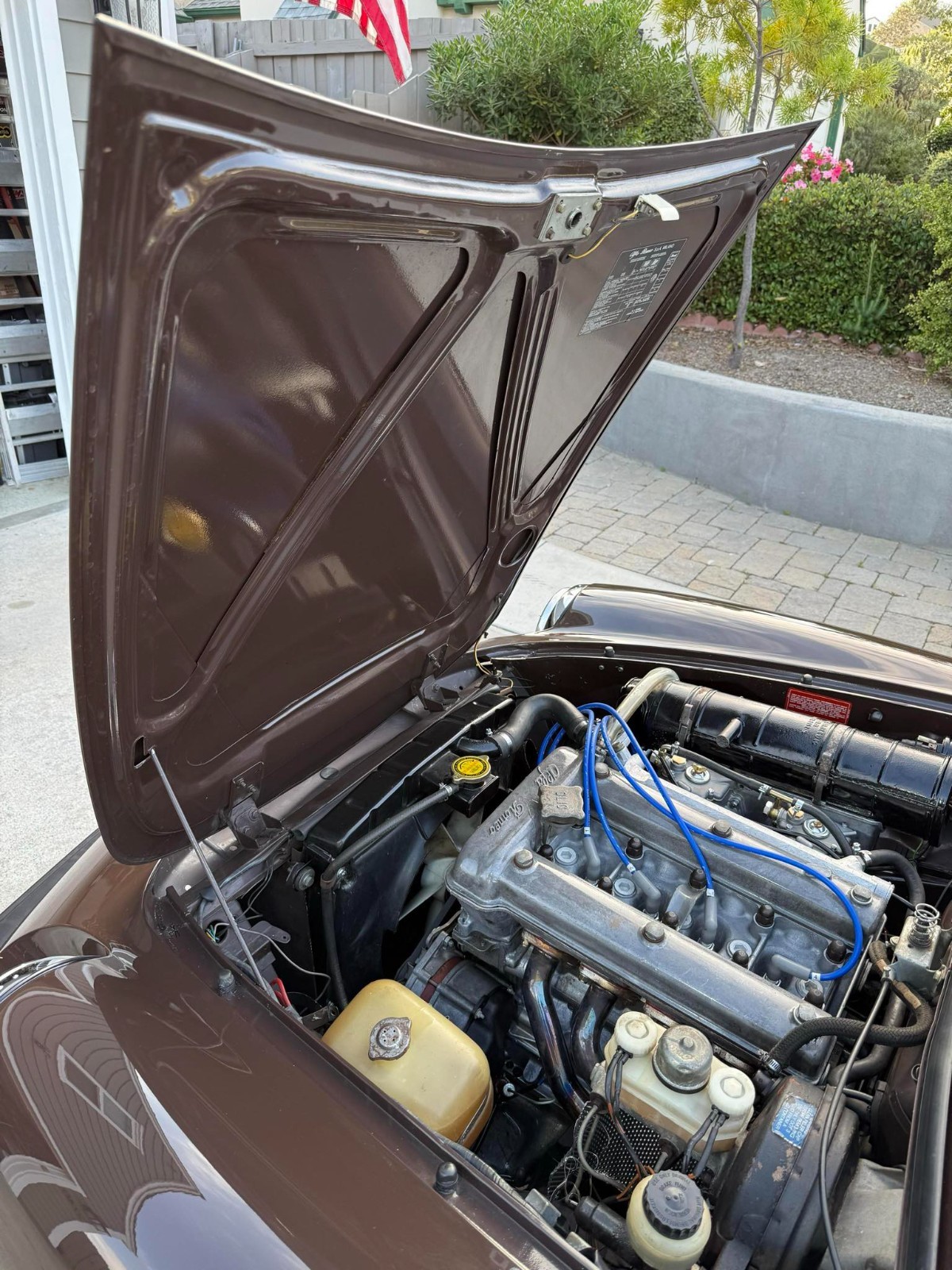 Alfa-Romeo-Spider-1979-Convertible-17