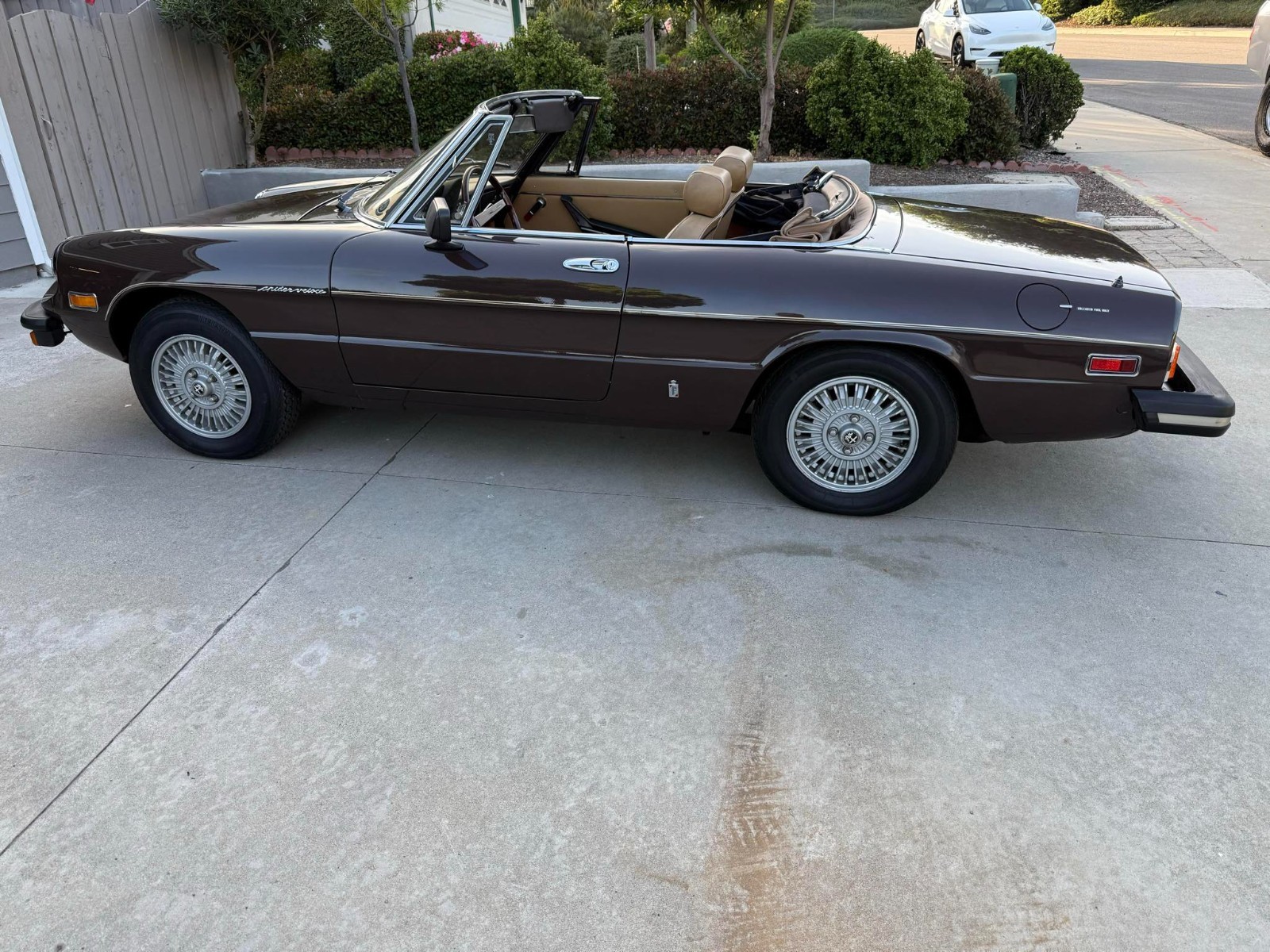 Alfa-Romeo-Spider-1979-Convertible-25