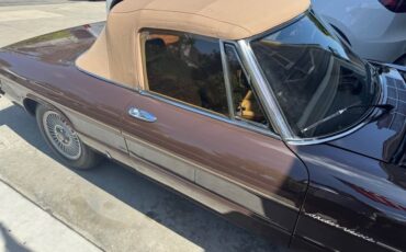 Alfa-Romeo-Spider-1979-Convertible-4