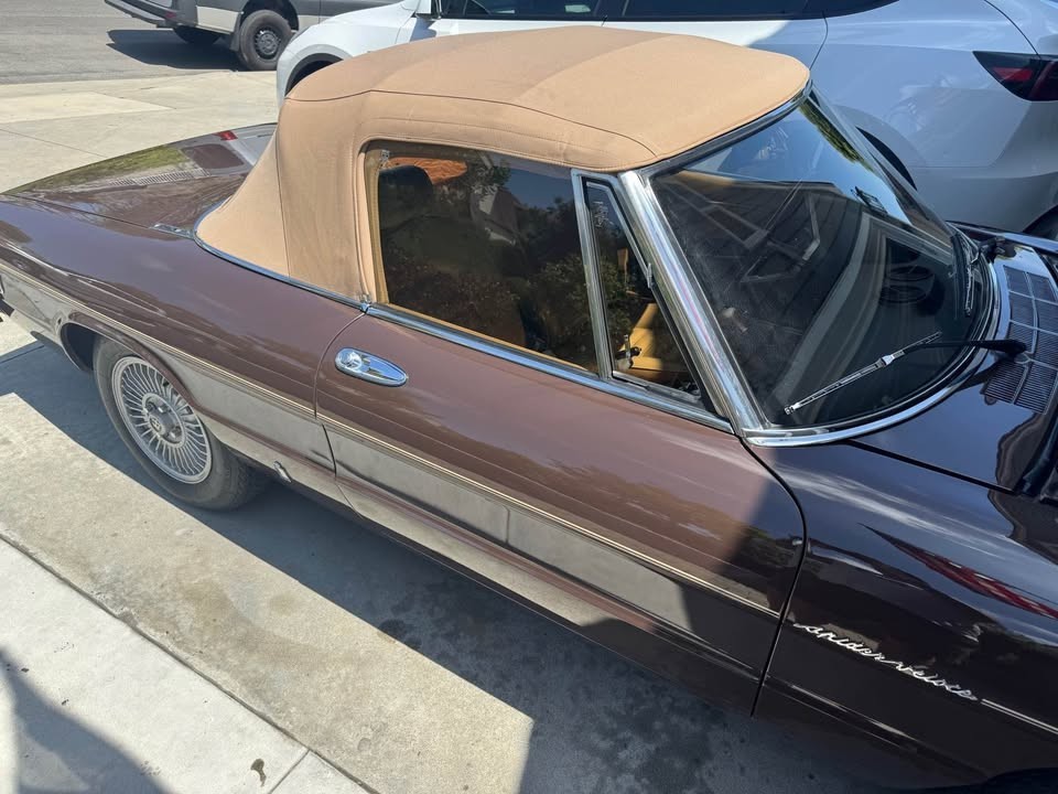 Alfa-Romeo-Spider-1979-Convertible-4