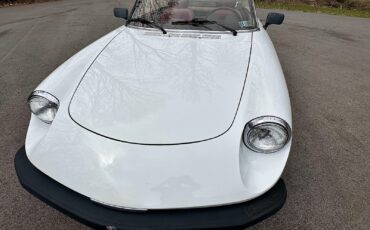 Alfa-Romeo-Spider-1980-EXCELLENT-DRIVER-19
