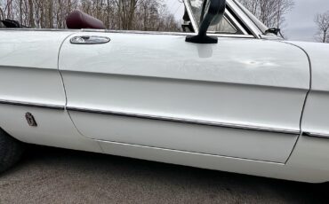 Alfa-Romeo-Spider-1980-EXCELLENT-DRIVER-35