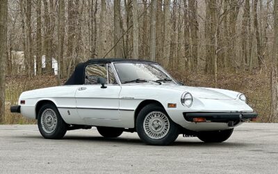 Alfa Romeo Spider 1980 EXCELLENT DRIVER