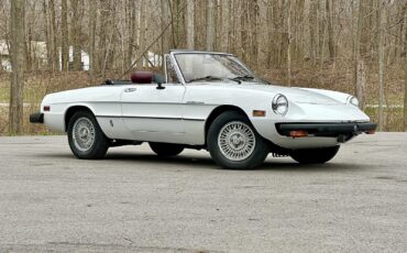 Alfa-Romeo-Spider-1980-EXCELLENT-DRIVER-5