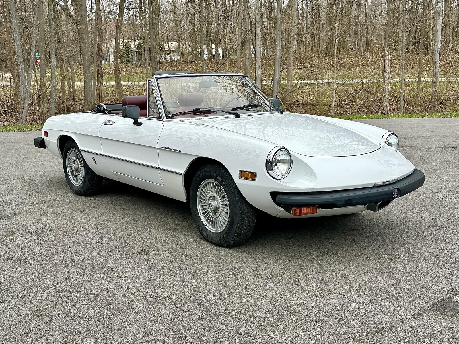 Alfa-Romeo-Spider-1980-EXCELLENT-DRIVER-8