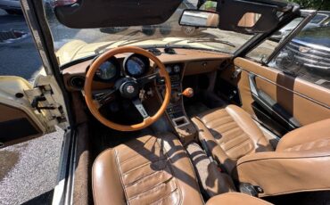 Alfa-Romeo-Spider-1982-Convertible-10