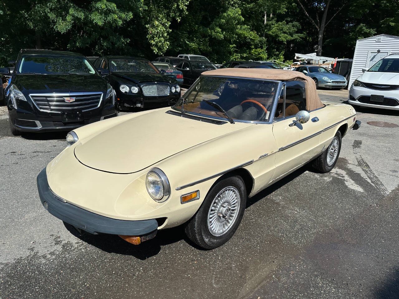 Alfa-Romeo-Spider-1982-Convertible-21