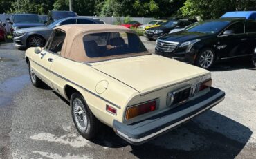 Alfa-Romeo-Spider-1982-Convertible-24