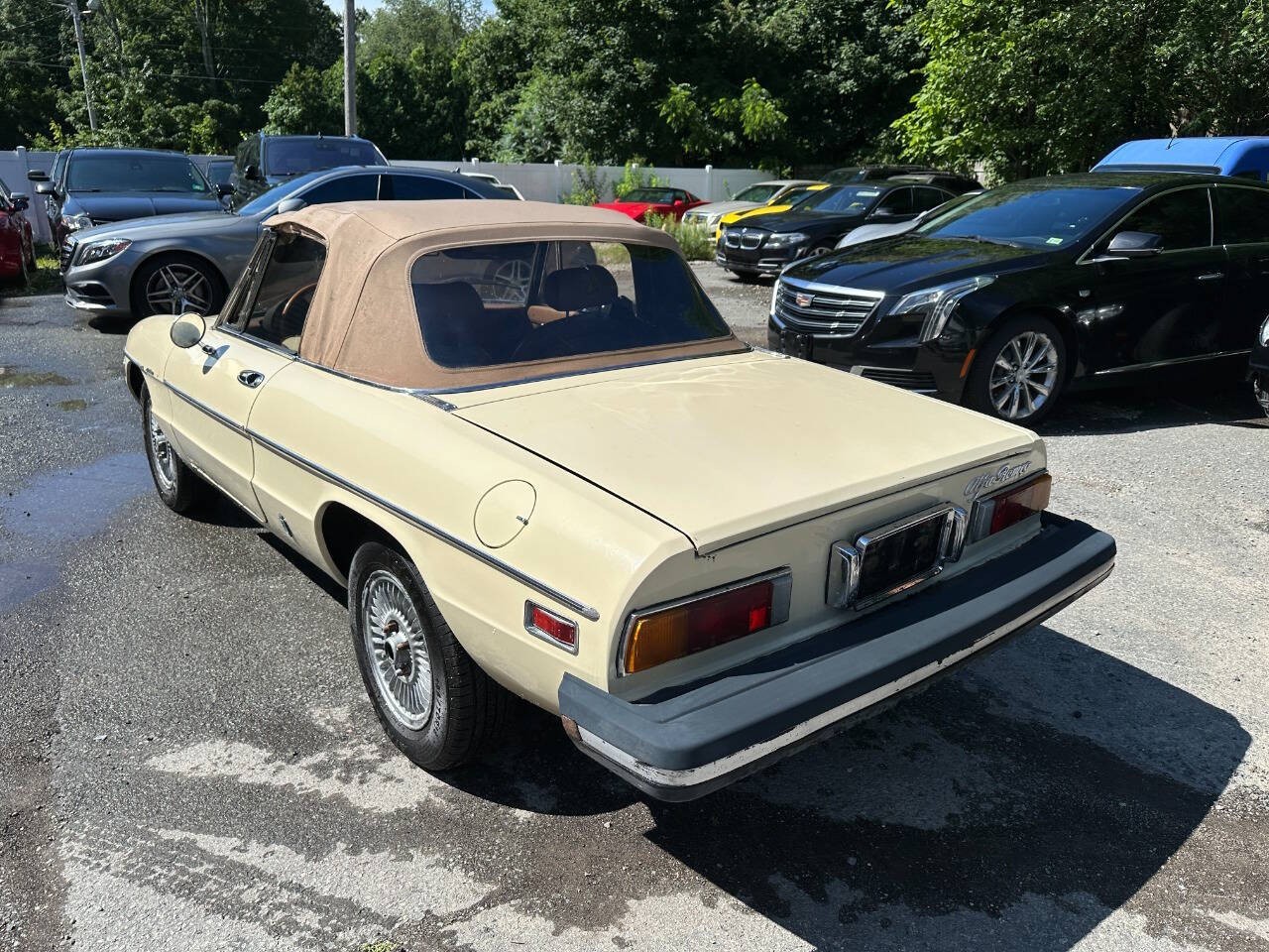 Alfa-Romeo-Spider-1982-Convertible-24