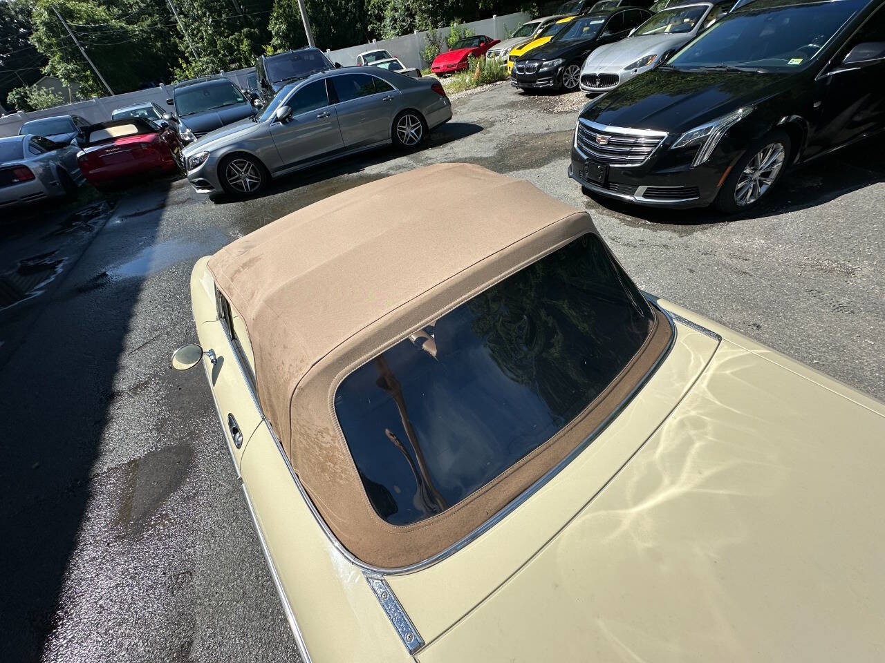 Alfa-Romeo-Spider-1982-Convertible-25