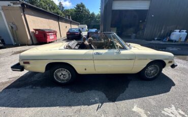 Alfa-Romeo-Spider-1982-Convertible-3