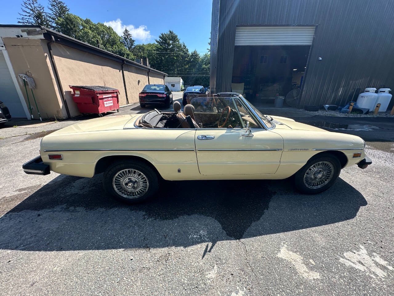 Alfa-Romeo-Spider-1982-Convertible-3