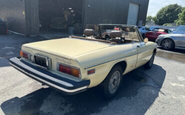 Alfa-Romeo-Spider-1982-Convertible-4