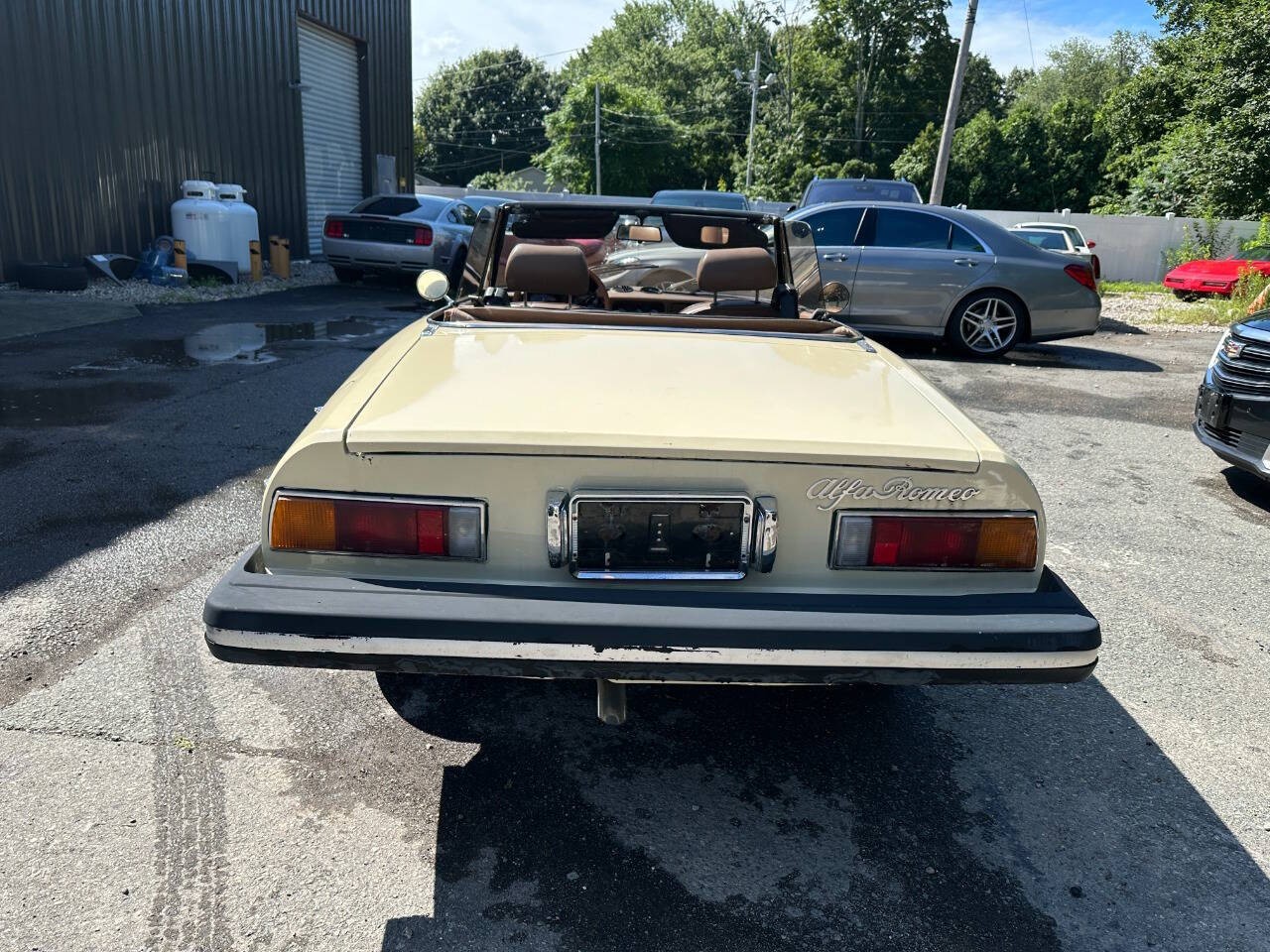 Alfa-Romeo-Spider-1982-Convertible-5