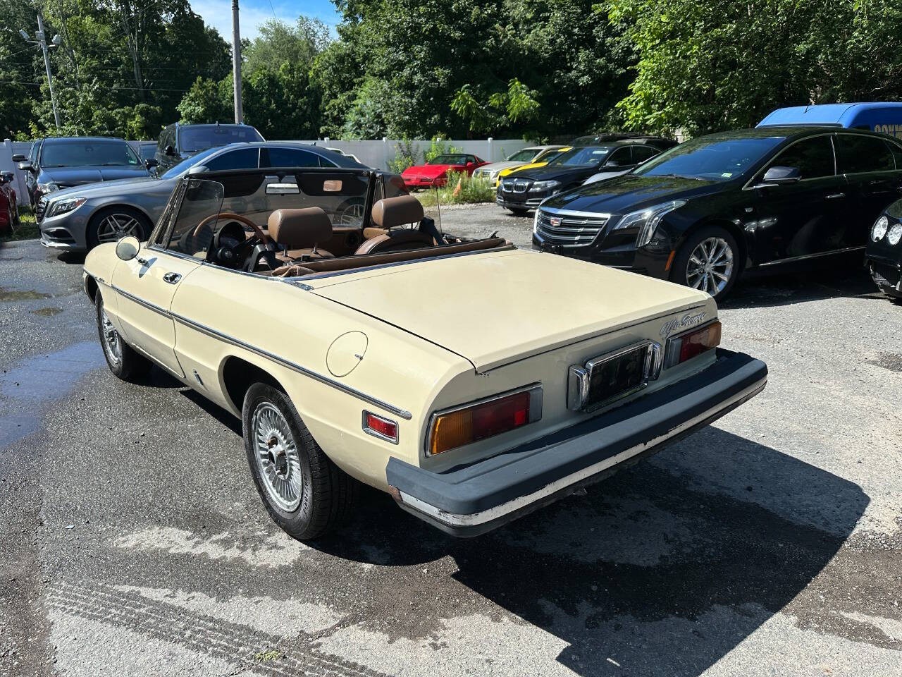 Alfa-Romeo-Spider-1982-Convertible-6