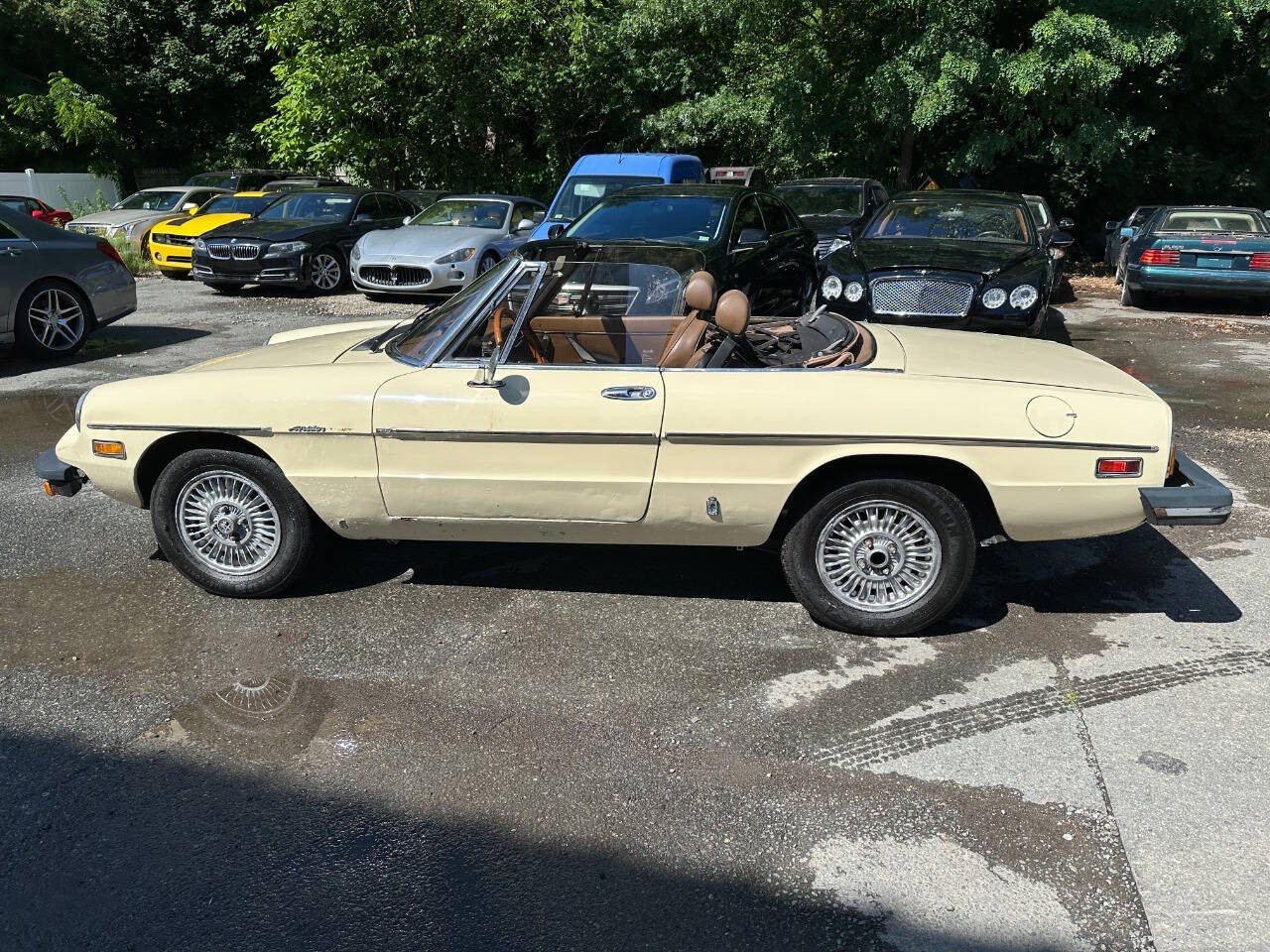 Alfa-Romeo-Spider-1982-Convertible-7