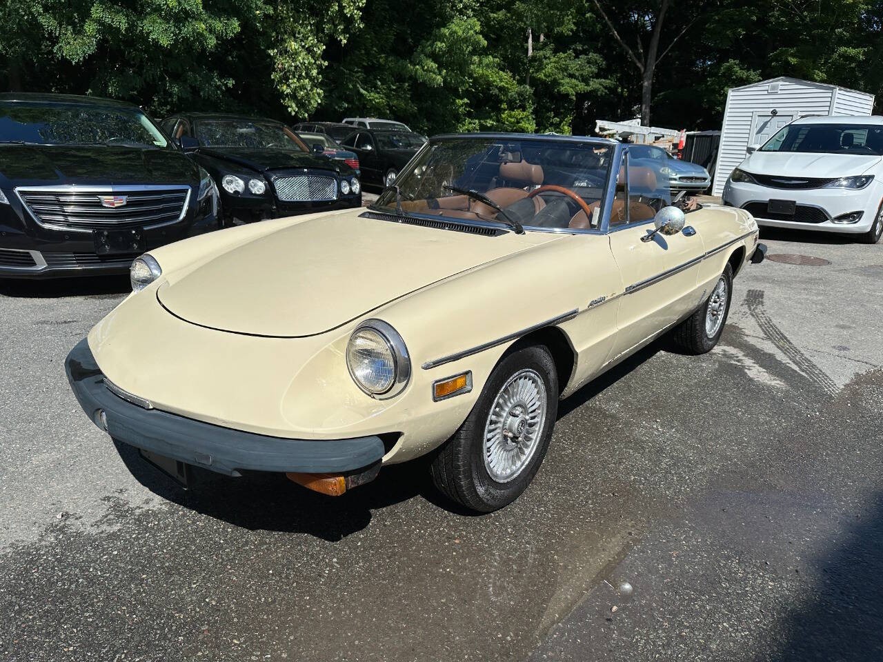 Alfa Romeo Spider 1982 Convertible