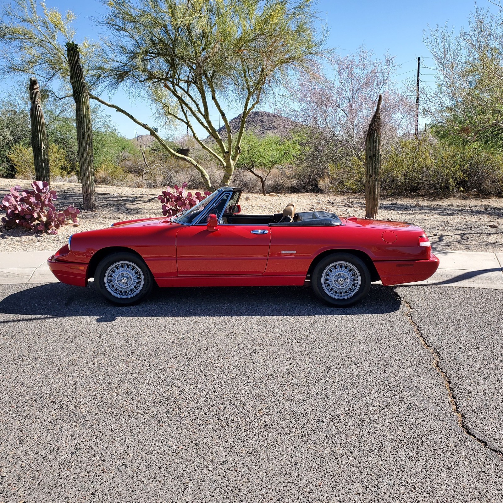 Alfa Romeo Spider 1991 Convertible