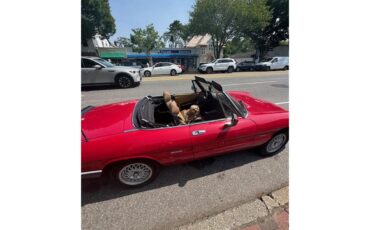 Alfa-romeo-Graduate-1990-RED-TAN-10