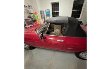 Alfa-romeo-Graduate-1990-RED-TAN-7