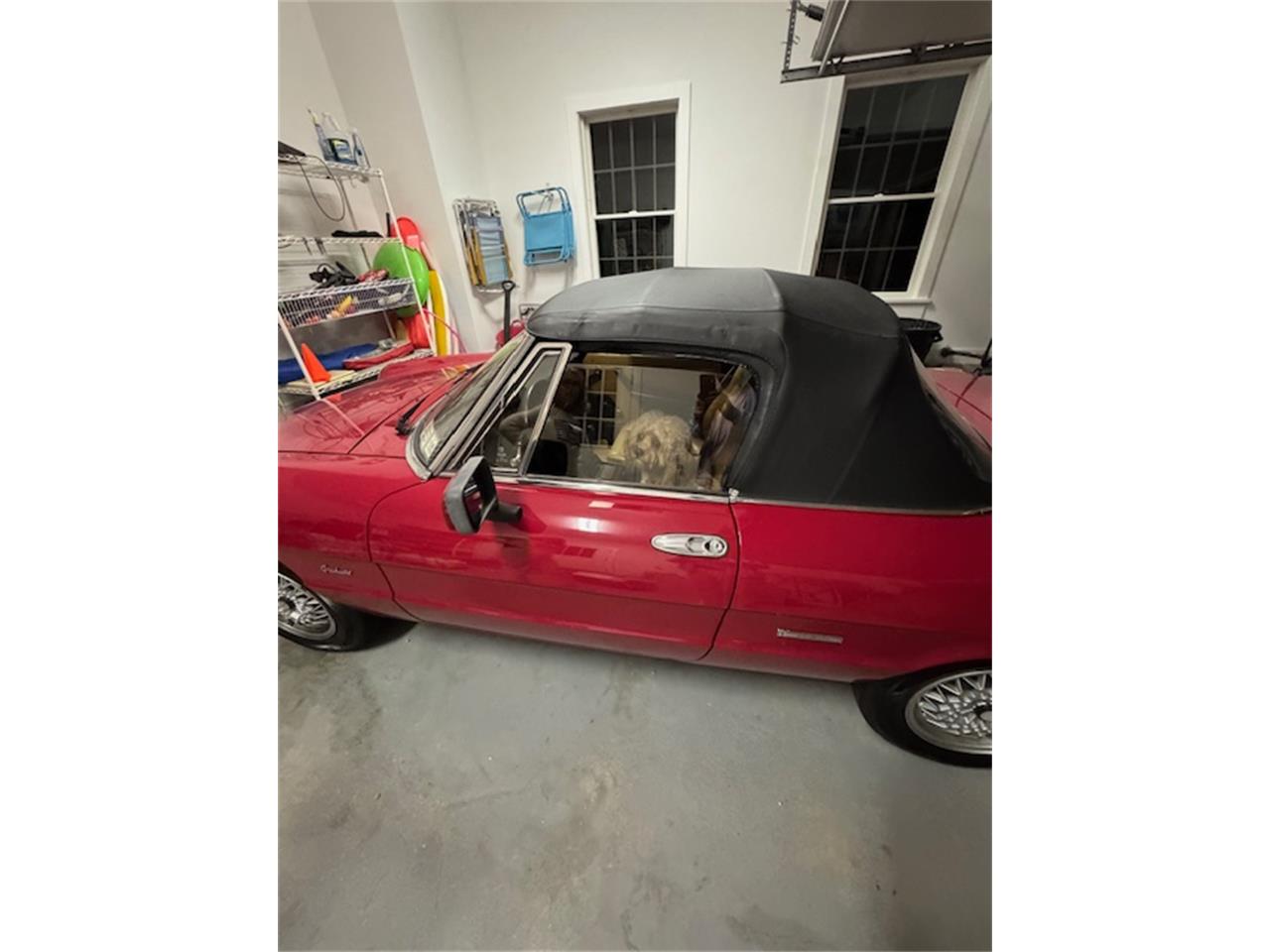 Alfa-romeo-Graduate-1990-RED-TAN-7