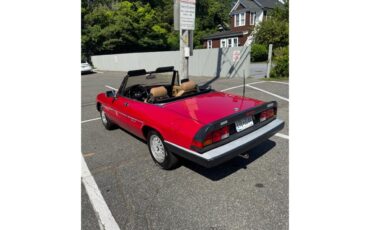 Alfa-romeo-Graduate-1990-RED-TAN-9