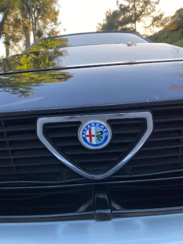 Alfa-romeo-Gtv6-1984-Black-2