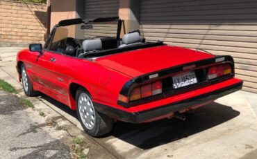 Alfa-romeo-Quadrifoglio-1989-10