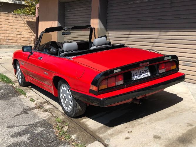 Alfa-romeo-Quadrifoglio-1989-10