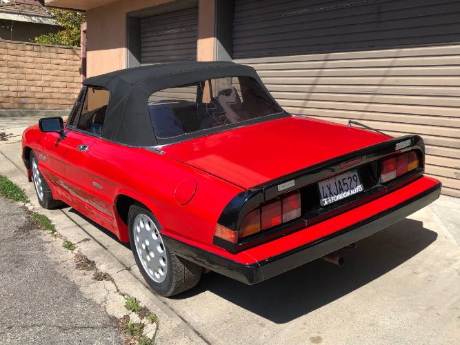 Alfa-romeo-Quadrifoglio-1989-14
