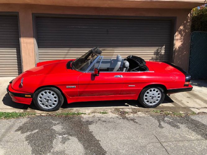 Alfa-romeo-Quadrifoglio-1989-21