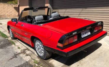 Alfa-romeo-Quadrifoglio-1989-5